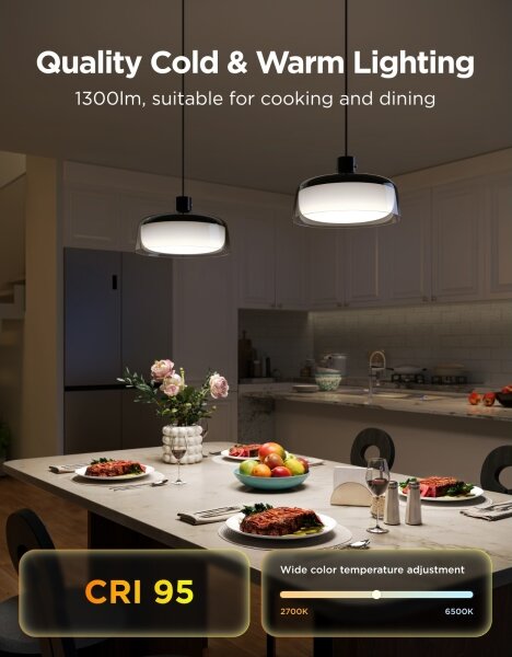 Govee - Lampadario sospeso LED RGBICWW dimmerabile su cavo LED/21W/230V compatibile Matter, Wi-Fi