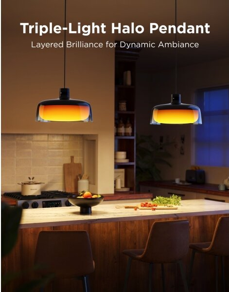Govee - Lampadario sospeso LED RGBICWW dimmerabile su cavo LED/21W/230V compatibile Matter, Wi-Fi