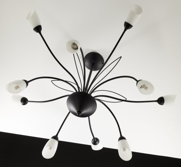 Jupiter 2056 - Lampadario a stelo GLORIOSA 10xG9/14W/230V nero