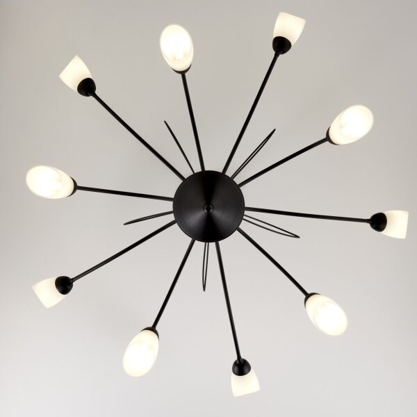 Jupiter 2056 - Lampadario a stelo GLORIOSA 10xG9/14W/230V nero