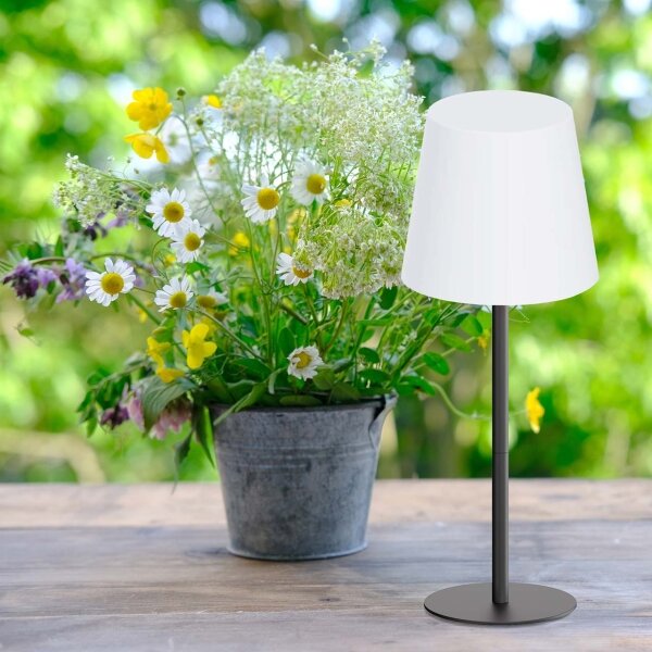 Lampada da tavolo dimmerabile a sfioramento LED RGB LUCIA LED/2W/5V 3600 mAh IP44 nero
