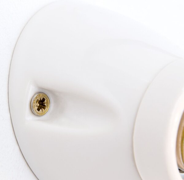 Orion - Lampada da parete FROST 1xE27/60W/230V bianca