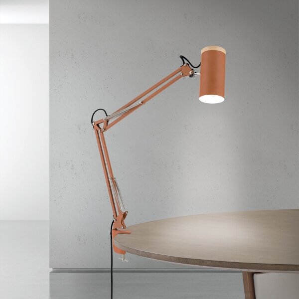 Orion - Lampada da tavolo con morsetto GILI 1xE27/40W/230V color mattone