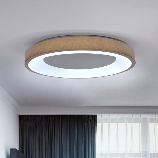 Brilagi - Plafoniera LED dimmerabile DORIA LED/60W/230V 3000-6500K diam. 60 cm + telecomando