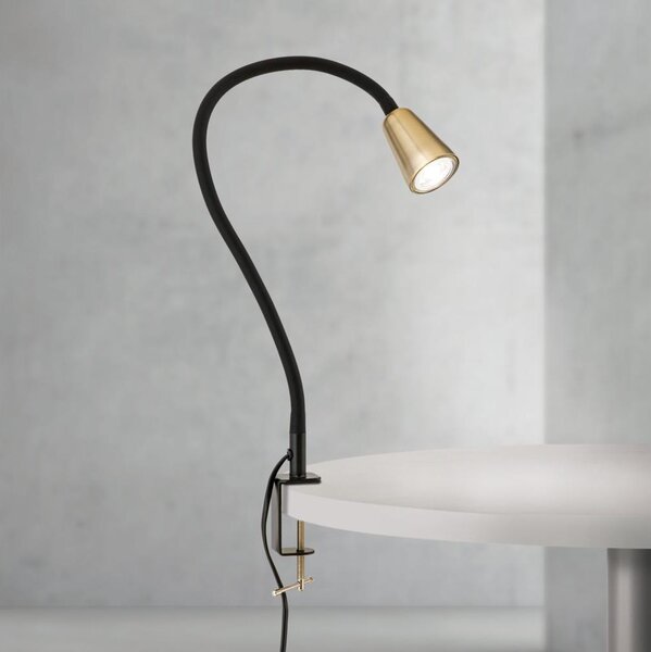 Orion - Lampada da tavolo flessibile con morsetto DOTTY 1xGU10/10W/230V ottone/nero