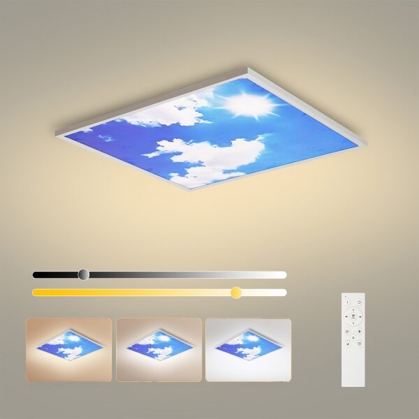 Brilagi-LED Pannello dimmerabile SLIMFRAME SKY LED/58W/230V 60x60 cm argento/blu + telecomando