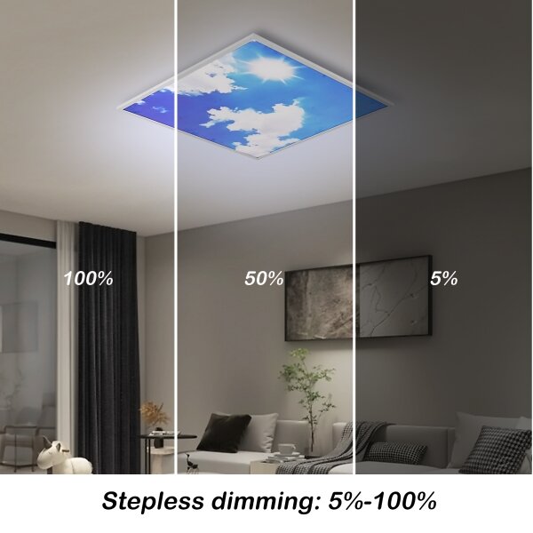 Brilagi-LED Pannello dimmerabile SLIMFRAME SKY LED/58W/230V 60x60 cm argento/blu + telecomando