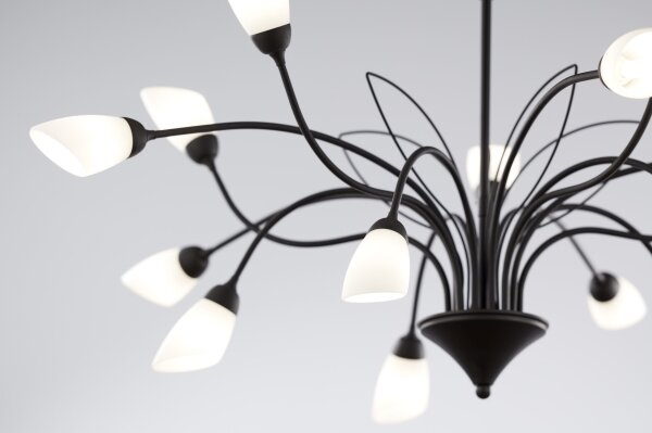 Jupiter 2057 - Lampadario a catena GLORIOSA 15xG9/14W/230V nero