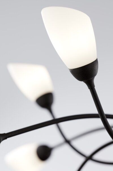 Jupiter 2057 - Lampadario a catena GLORIOSA 15xG9/14W/230V nero