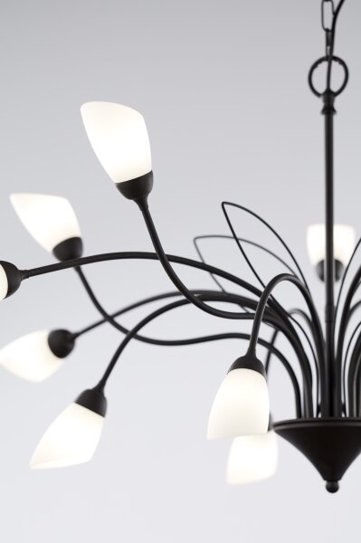 Jupiter 2057 - Lampadario a catena GLORIOSA 15xG9/14W/230V nero
