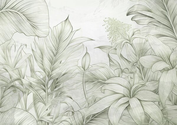 Carta da parati Verdi tenui in un delicato disegno botanico, Carta da parati Natura, Carta da parati popolare, w03201v2 - Tapeko.it