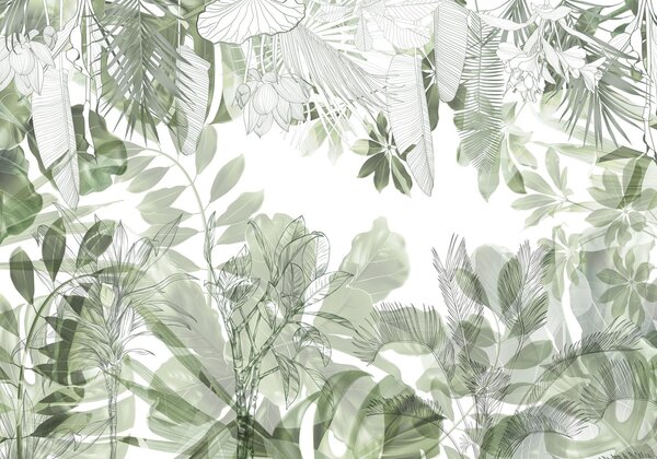 Carta da parati Stampa di piante e foglie tropicali della giungla verde su sfondo bianco, Carta da parati Natura, w08823 : Uwalls.it