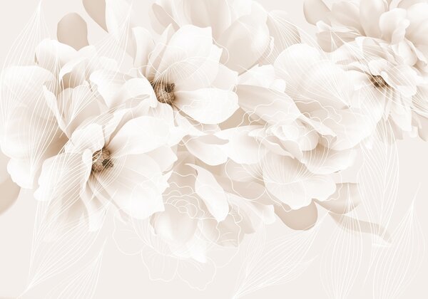 Carta da parati Fiori di peonia pastello con petali delicati bianchi e beige e linee bianche su, Carta da parati Floreale, w08826v1 : Uwalls.it