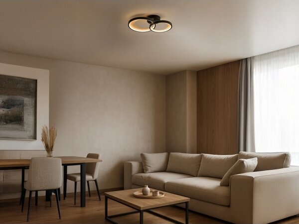 Plafoniera dimmerabile a LED/35W/230V 3000-6500K + telecomando