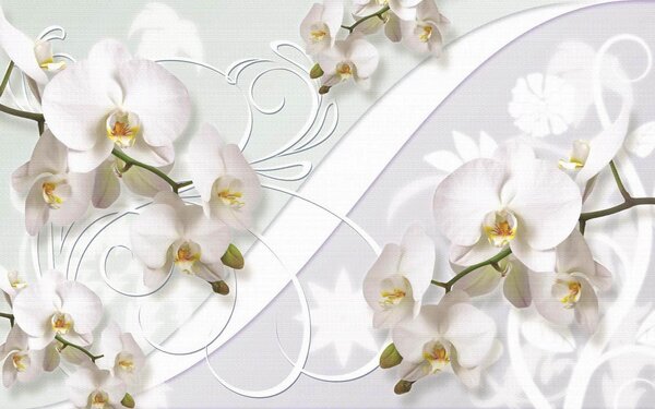 Carta da parati Delicate orchidee dalle tonalità tenui, Carta da parati Floreale, Carta da parati popolare, u04707 - Tapeko.it