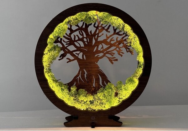 Li-Go 23631/DUB2 - Lampada decorativa da tavolo dimmerabile a LED, 12W/230V, 30x31 cm, rovere