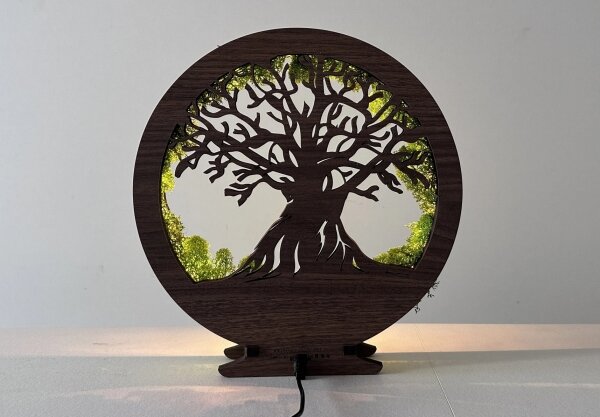 Li-Go 23631/DUB2 - Lampada decorativa da tavolo dimmerabile a LED, 12W/230V, 30x31 cm, rovere