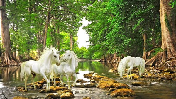 Carta da parati Gruppo di unicorni bianchi in un fiume, Carta da parati gli unicorni, Carta da parati popolare, u05099 - Tapeko.it
