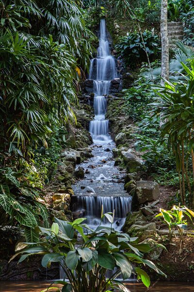 Carta da parati Cascata nella giungla, Carta da parati Natura, Carta da parati popolare, u47370 - Tapeko.it