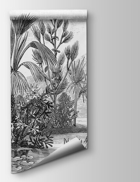 Carta da parati Disegno in bianco e nero di una foresta tropicale, Carta da parati popolare, Carta da parati popolare, u52597 - Tapeko.it