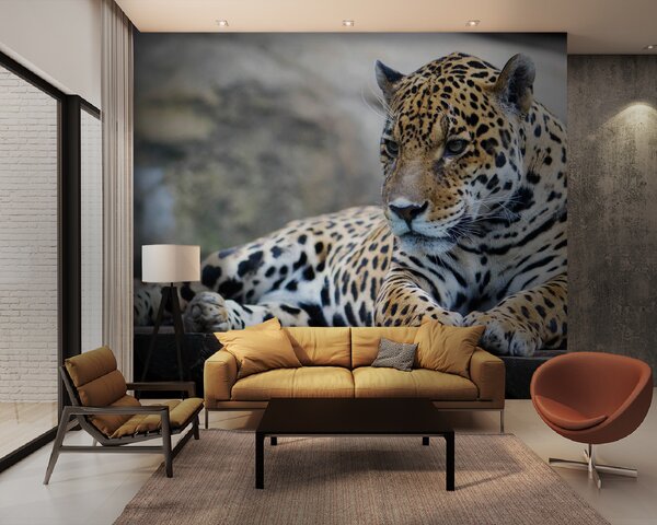 Carta da parati Leopardo sdraiato su una superficie di legno, Carta da parati Gatti, Carta da parati popolare, u55313 - Tapeko.it