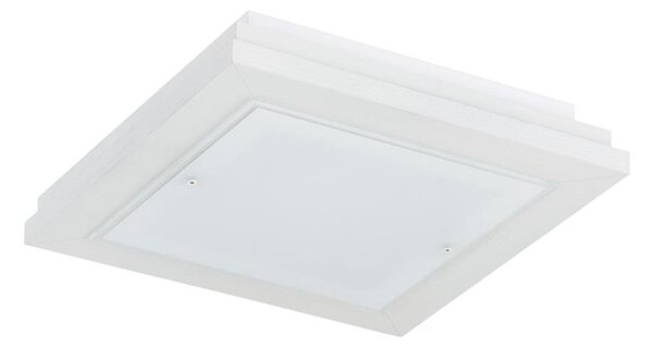 Argon 7266 - Plafoniera TABOR 2xE27/15W/230V 32x32 cm bianca
