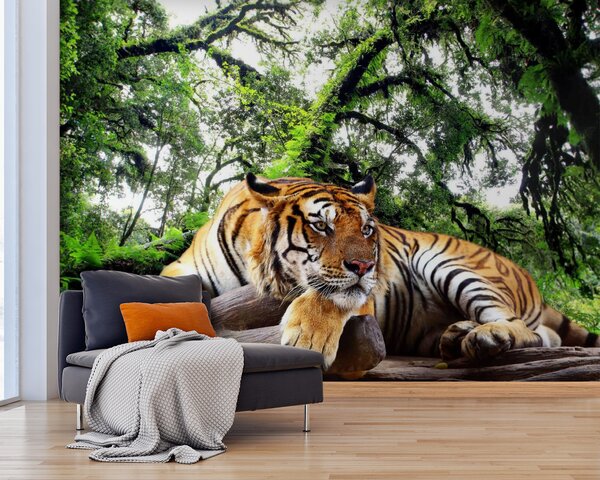 Carta da parati Tigre sdraiata su un tronco, Carta da parati Natura, Carta da parati popolare, u57805 - Tapeko.it
