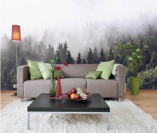 Carta da parati Foresta di alberi con nebbia, Carta da parati Natura, Carta da parati popolare, u62724 - Tapeko.it