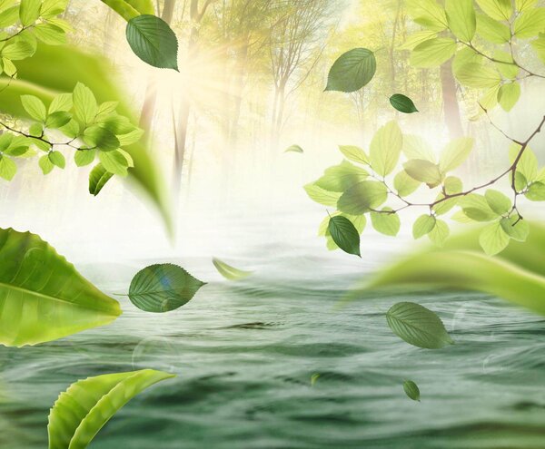 Carta da parati Acqua con foglie che volano nell'aria, Carta da parati Natura, Carta da parati popolare, u62860 - Tapeko.it