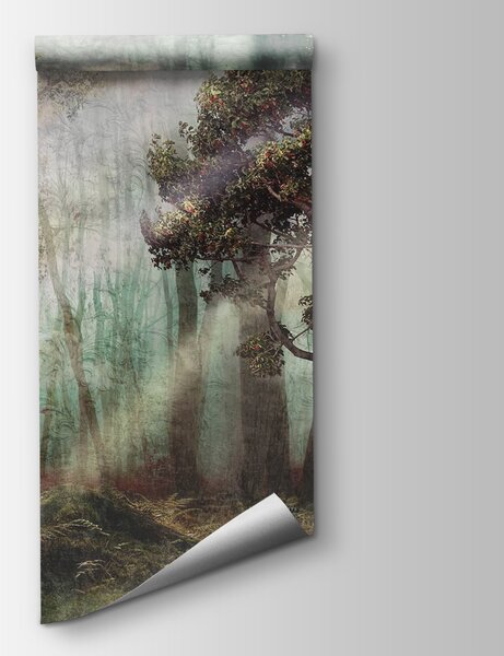 Carta da parati Foresta nebbiosa con alberi e nebbia, Carta da parati Natura, Carta da parati popolare, u80281 - Tapeko.it