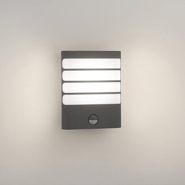 Philips 17274/93/16-LED Lampada da esterno a LED con sensore RACCOON LED/3W/230V IP44