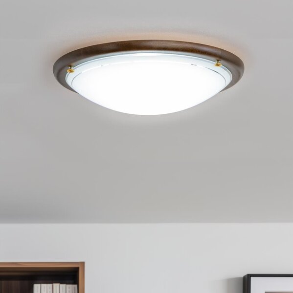 Rabalux 5417 - Plafoniera UFO E27/60W/230V