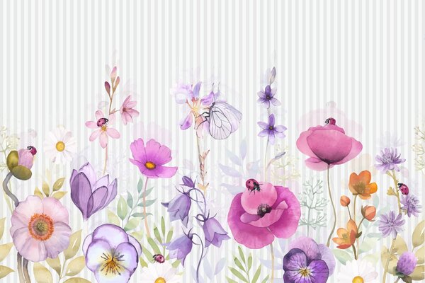Carta da parati Fiori di campo luminosi su uno sfondo a righe, Carta da parati Acquerello, w03295 : Uwalls.it