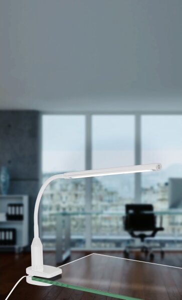 Eglo 96434 - Lampada con morsetto LED LAROA LED/4,5W/230V bianca