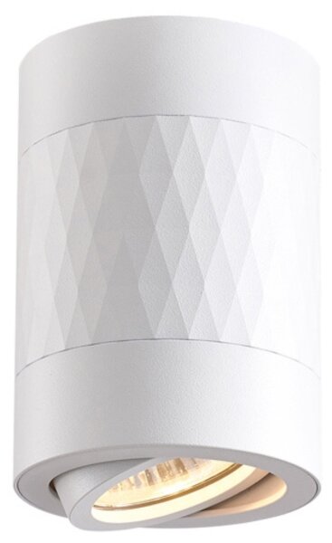 Luce Spot RUBIN 1xGU10/10W/230V bianco