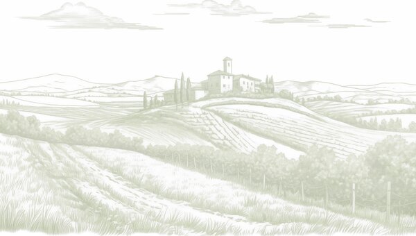 Carta da parati Paesaggi della Toscana, Italia, vigneti, natura, antico castello, colori verdi, Carta da parati Provenzale, w03349v2 : Uwalls.it