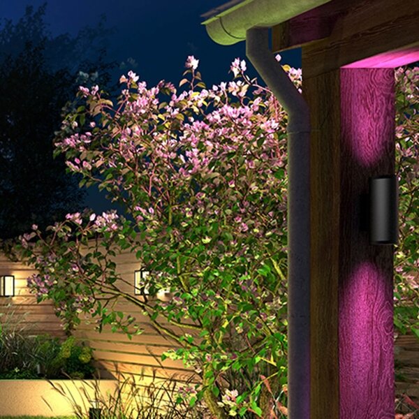 Philips 17463/30/P7 - LED RGB Lampada da esterno Hue APPEAR 2xLED/8W/230V IP44