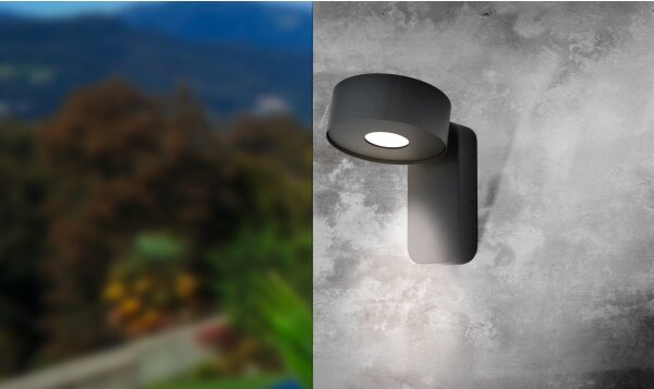 Eglo 98737 - Applique a LED da esterno PALOSCO LED/6W/230V IP44