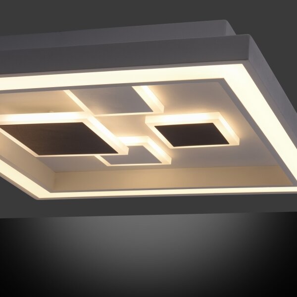 Paul Neuhaus 6283-16 - Lampada LED dimmerabile ELIZA LED/30W/230V + LED/18,5W