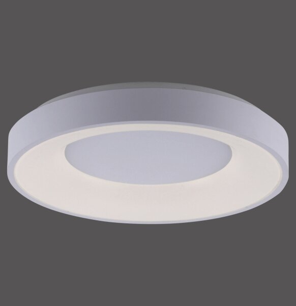 Leuchten Direkt 14326-16 - Lampada LED dimmerabile ANIKA LED/30W/230V + T