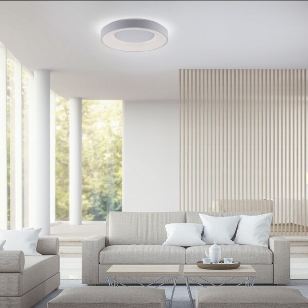 Leuchten Direkt 14326-16 - Lampada LED dimmerabile ANIKA LED/30W/230V + T