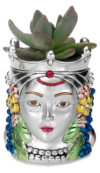 Vaso fiori Testa di Moro Argentata con piantina Bicolor Media 7xh 10 cm - bifacciale moro siciliano uomo donna