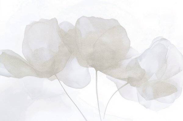 Carta da parati Bellissimi fiori, colori pastello tenui, minimalismo, naturale, rustico, beige e blu, Carta da parati Acquerello, w03407v2 : Uwalls.it