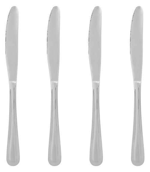 Set di coltelli argentato in acciaio inox 4 pz Classic – Premier Housewares