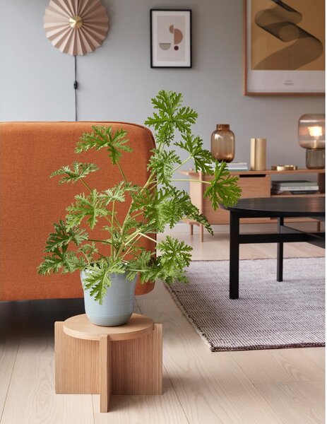 Tavolino da caffè rotondo nero ø 80 cm Fjord - Hübsch
