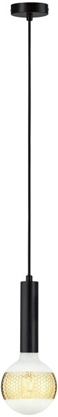 Paulmann 79757 - Lampadario su fune NEORDIC 1xE27/20W/230V