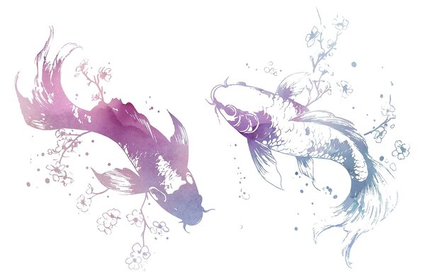 Carta da parati Due pesci con schizzi di acquerello, Carta da parati acquerello sul muro, Carta da parati popolare, w03447 - Tapeko.it