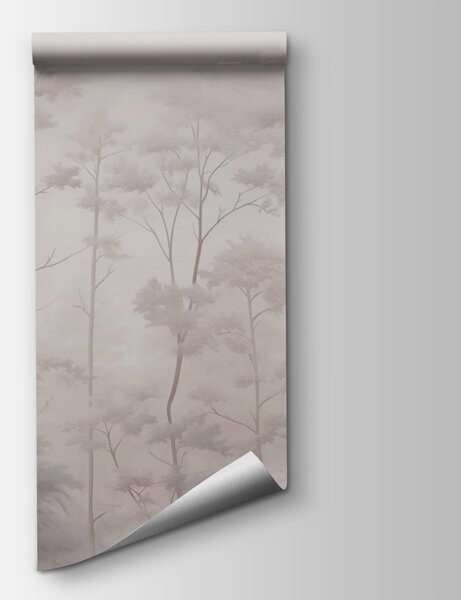Carta da parati Gruppo di alberi con nebbia, Carta da parati Foresta Betulle, Carta da parati popolare, w03525 - Tapeko.it