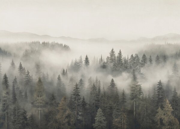 Carta da parati Foresta con nebbia e montagne, Carta da parati Natura, Carta da parati popolare, w03524 - Tapeko.it