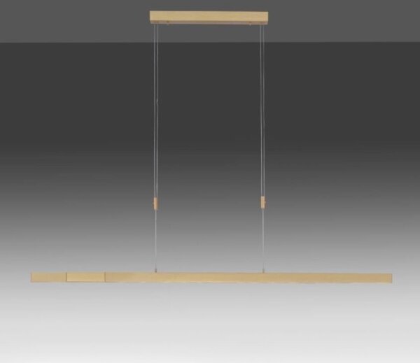 Paul Neuhaus 2568-60 - Lampadario a sospensione con filo LED dimmerabile ADRIANA LED/14W/230V ottone
